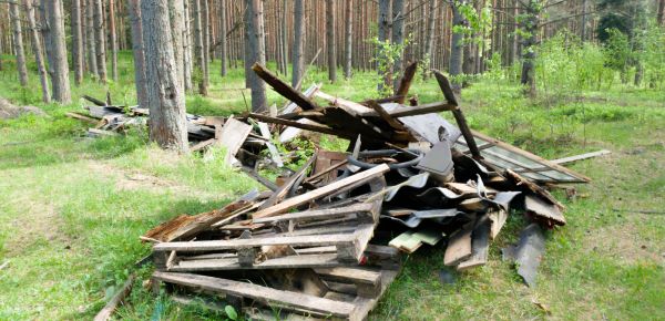 Debris Removal Service in North Fort Myers